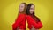 Two slim young women posing back to back smiling standing at yellow background. Positive charming smiling Caucasian twin
