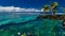 Two small boys swimming underwater on coral beach