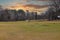 Two small brown horses grazing on green and yellow grass on the farm surrounded by bare winter trees and a sprinkler with blue sky