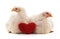 Two small chickens with a toy heart.