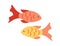 Two small colored fish. Vector illustration on a white background