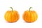 Two small decorative orange pumpkins