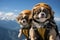 Two small dogs donning helmets as they conquer the peak of a majestic mountain, Tibetan Spaniel puppies skydiving in the French