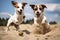Two small dogs happily sprinting through the sandy beach, enjoying their playful and energetic adventure, Jack Russell Terrier and