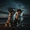 Two small dogs sitting on a beach in the evening looking up into the night sky