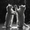 Two small Felidae kittens playfully interacting in blackandwhite style