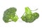 Two small heads of fresh broccoli on white background