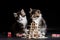 Two small kittens sitting next to each other. Generative AI image.