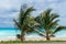 Two small palm trees on a perfect Caribbean beach