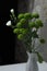 two small white roses adorn a bouquet of green chrysanthemums