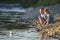 Two smiling blond children, boy and girl playing with white paper boats on river bank on bright summer blurred blue background. J