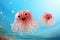 Two smiling fantasy jellyfish with big eyes on blue solid background, abstract 3d