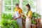 Two smiling florists looking after plants together.