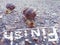 Two snails on the asphalt, the finish line and the inscription finish.