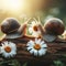 Two snails encounter each other on a log with daisies camomile on summer morning background. ai generative