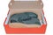 Two sneakers fitness training athletic footwear in a box isolated