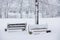 Two Snow Covered Benches by the River