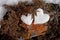 Two snow hearts on rock