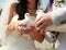 Two snow-white doves in the hands of the newlyweds