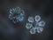 Two snowflakes glittering on smooth blur background