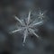 Two snowflakes glittering on smooth blur background