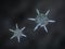 Two snowflakes glittering on smooth blur background