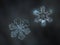 Two snowflakes glittering on smooth blur background