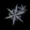 Two snowflakes isolated on black background