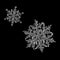 Two snowflakes isolated on black background