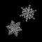 Two snowflakes isolated on black background