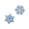 Two snowflakes isolated on white background