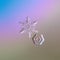 Two snowflakes on pink gradient background