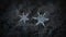 Two snowflakes with similar shape and structure on dark textured background