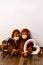 Two soft toy monkeys sit arm in arm on the one with two glass hearts