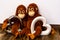 Two soft toy monkeys sit arm in arm on the one with two glass hearts