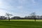 Two solitary, bare trees on farther, green meadow.