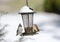 Two songbirds on snow covered bird seed feeder, Georgia, USA