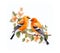 Two songbirds on a spring branch with leaves and flowers on a white background