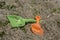 Two spades, shovel, green and orange - children`s beach toys on stony beach with seaweeds. Close up view