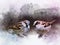 Two sparrows Watercolor Digital Painting, vintage effect. Bird illustration