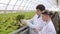 Two specialists examine the salad leaf on hydroponics.