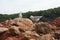 Two specimens of white-legged white seagulls perched on a cliff rock observing the horizon waiting for food under a leaden sky in