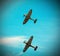 Two Spitfires flying in formation