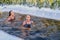 two sporting beautiful young women swimming in an ice hole in a winter sunny day