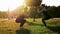 Two sports women training and squat together in the park at sunset. Fitness, aerobics and stretching exercises, healthy