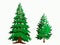 Two spruce trees of different ages on a white background