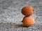 Two stacked lychee fruits