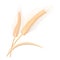 Two stalks of ripe barley cartoon icon