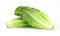 Two Stalks Romaine Lettuce