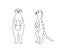 Two standing meerkats silhouette, cute cartoon meerkat for logo, coloring. Vector illustration of an African animal